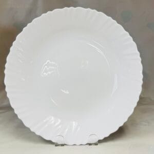 6 PIECES DINNER PLATES
