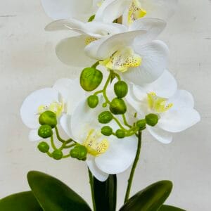 Artificial White Flower