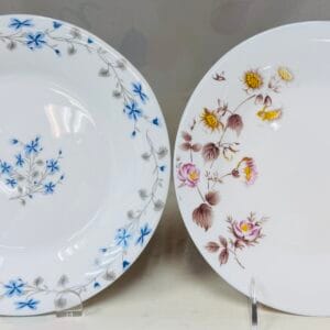 6 Lunch Plate Set