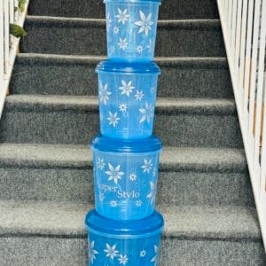 4-Piece Airtight Plastic Container Set